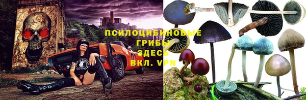 а пвп мука Вяземский
