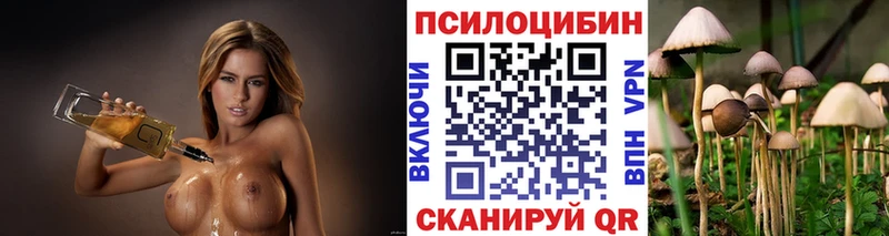 Псилоцибиновые грибы мицелий  Купить закладки  Куровское 